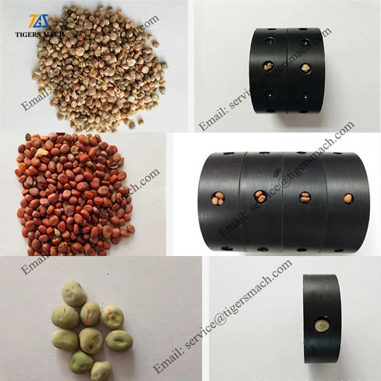product-750-750 product-750-750