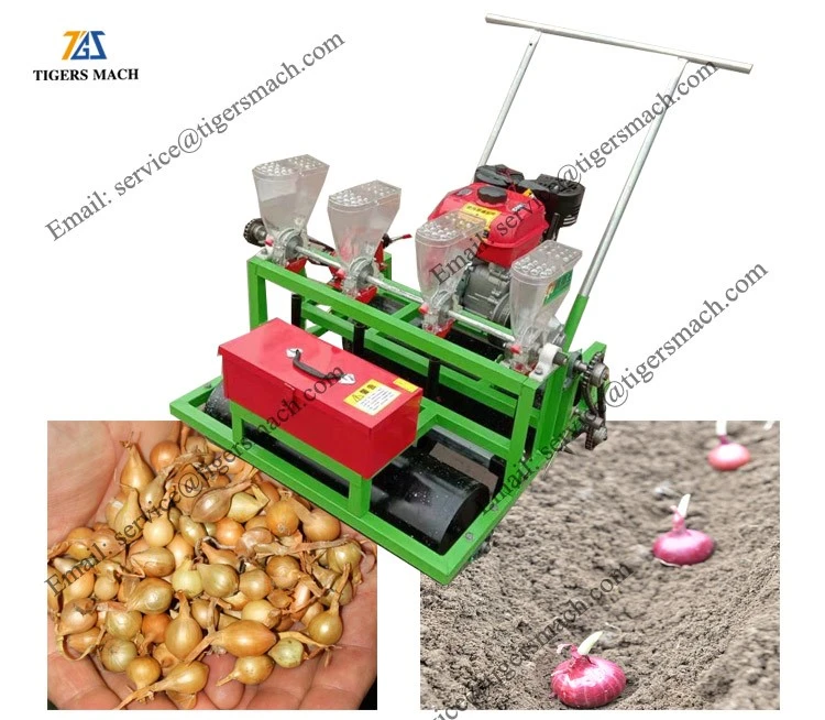 product-750-654 product-750-654