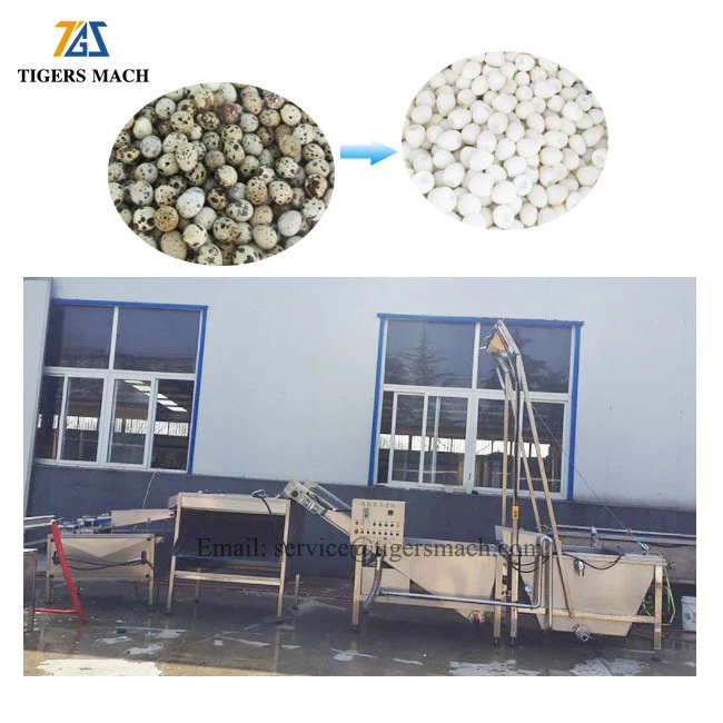 Economic Cooked Quail Eggs Plant