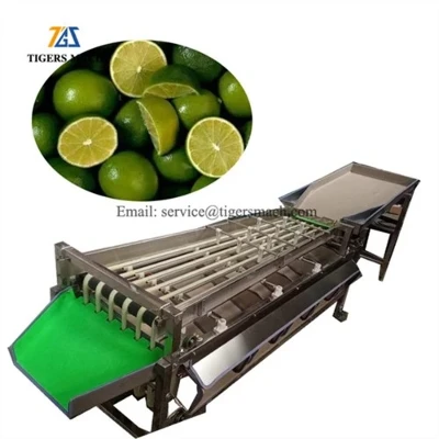 Trieuses de dattes et de jujubes classées