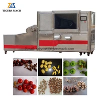 Date Pitters Machine