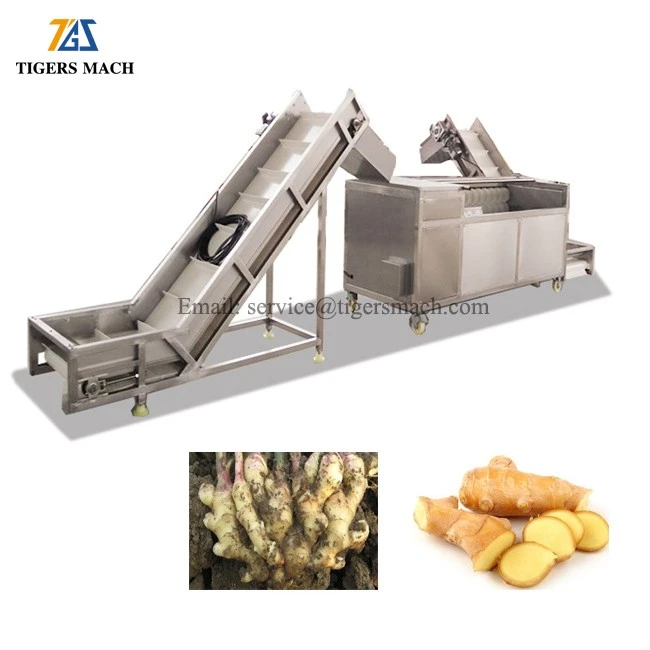 Carrot Washing Machine best