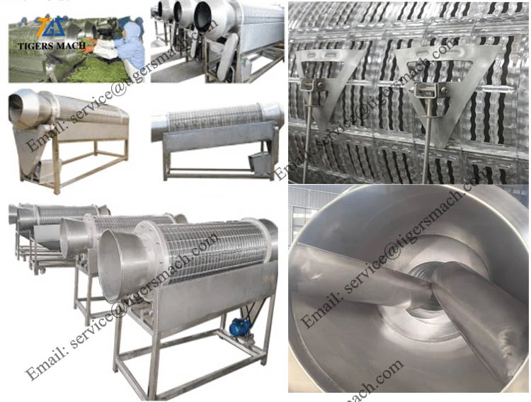 Green beans top and tail cutting machine Green beans top and tail cutting machine